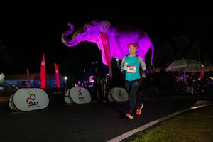 BIB: 
                            <button type="button" onclick="openModal(26544325)" class="btn btn-primary btn-sm float-right btn-popup" data-toggle="modal" data-target=".modal-high-quality">
                        <i class="fas fa-shopping-cart"></i> Add to Cart
                    </button>
                                            <button type="button" onclick="isThisMe(26544325, true)" class="btn btn-success btn-sm float-right btn-popup btn-isme hidden" data-toggle="tooltip" data-placement="bottom" title="นี่คือรูปของคุณใช่ไหม คลิกที่นี่เพื่อเอาเข้าอัลบั้ม">
                        <i class="fas fa-plus"></i> Add to album
                    </button>
                    <button type="button" onclick="isThisMe(26544325, false)" class="btn btn-warning btn-sm float-right btn-popup btn-isnotme hidden">
                        <i class="fas fa-ban"></i> Remove from album
                    </button>